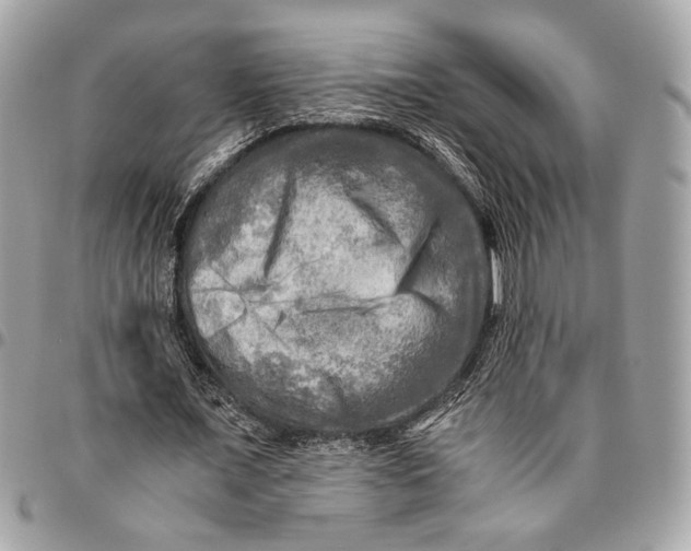 X0000096220675200802081526