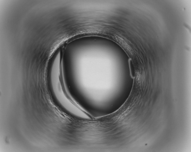 X0000096220676200802081526