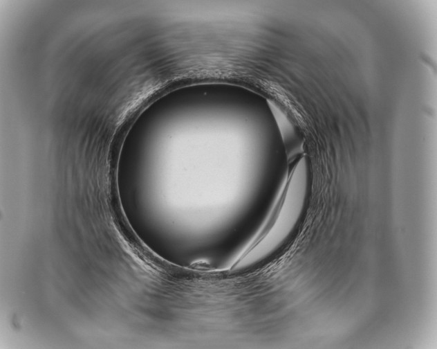 X0000096220677200802081526