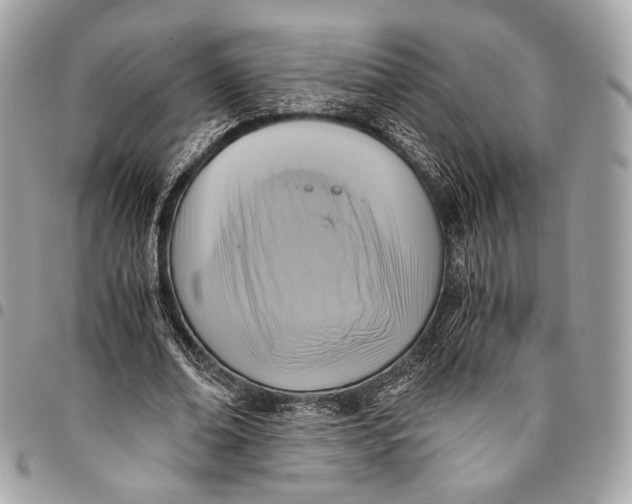 X0000096220678200802081526