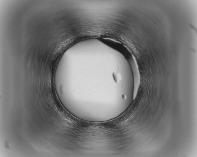 X0000096220681200802081526