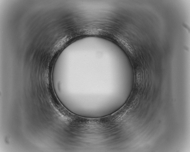 X0000096220682200802081526