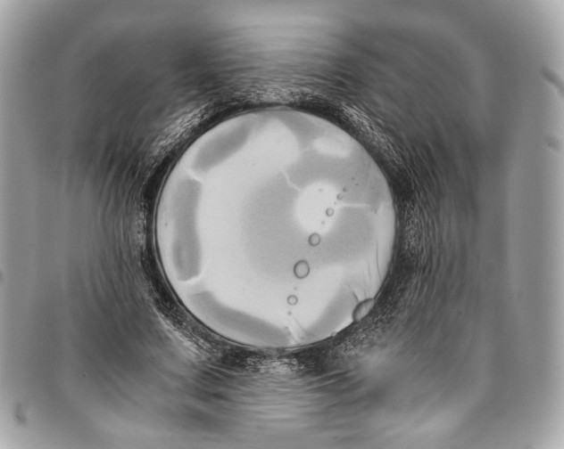 X0000096220683200802081526