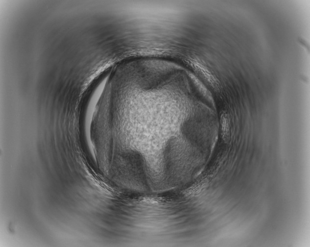 X0000096220684200802081526