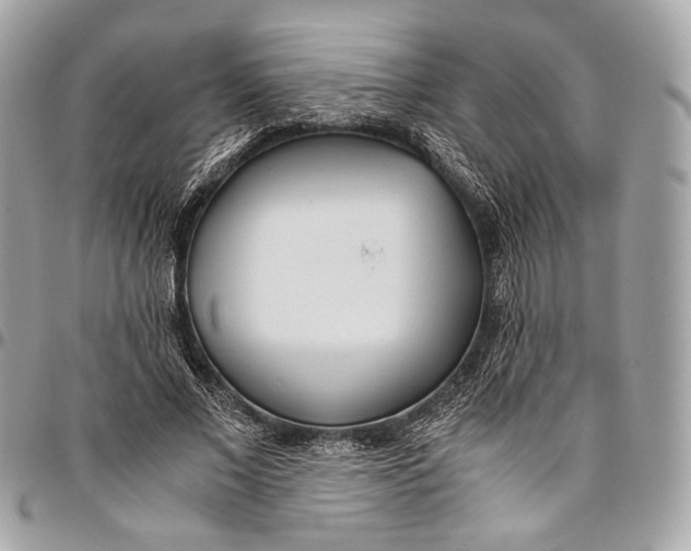 X0000096220685200802081526