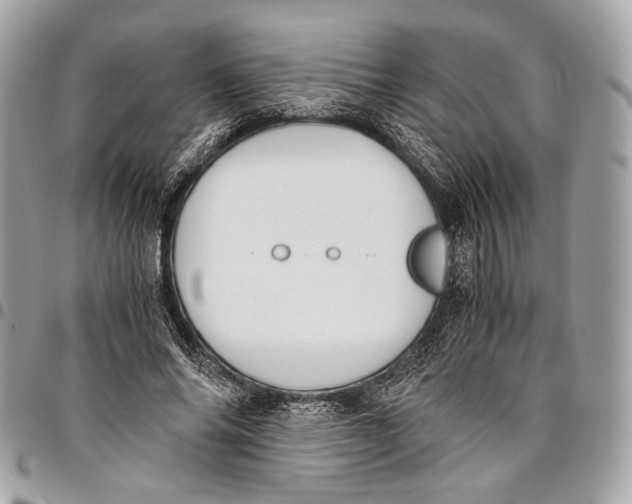 X0000096220686200802081526