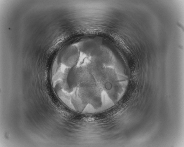 X0000096220687200802081526