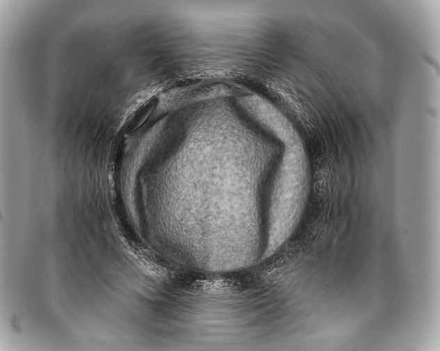 X0000096220688200802081525