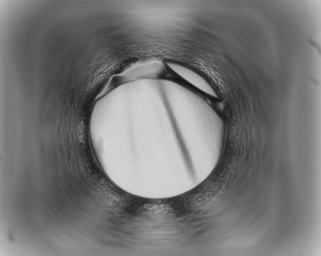 X0000096220689200802081525