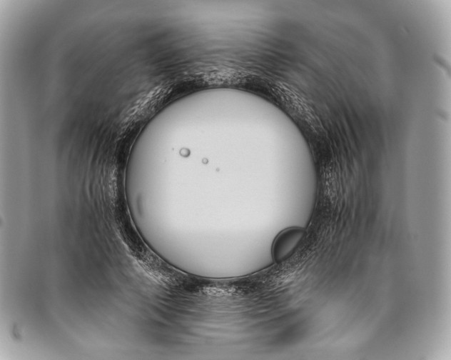 X0000096220690200802081525