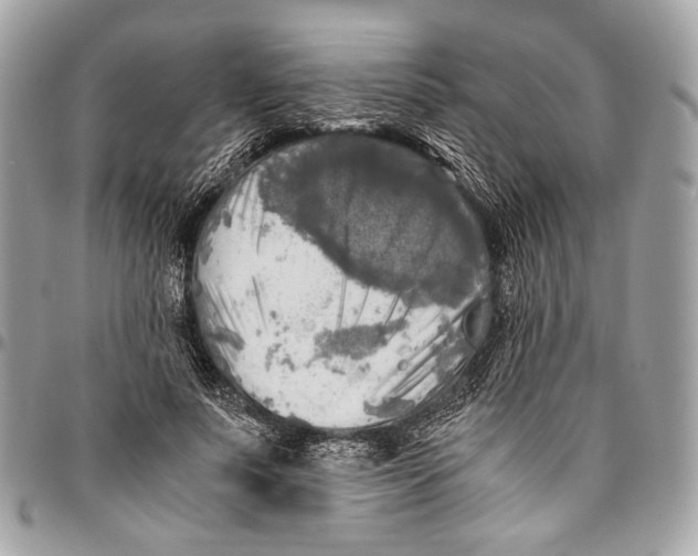 X0000096220691200802081525