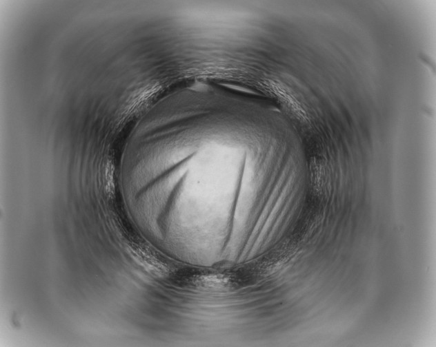 X0000096220692200802081525