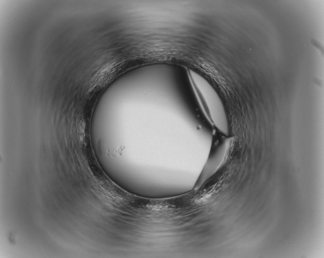 X0000096220693200802081525