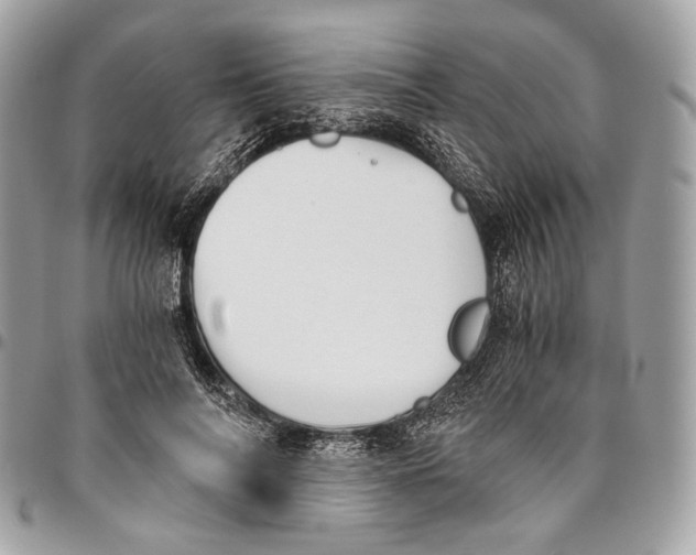 X0000096220694200802081525