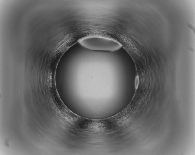 X0000096220696200802081525