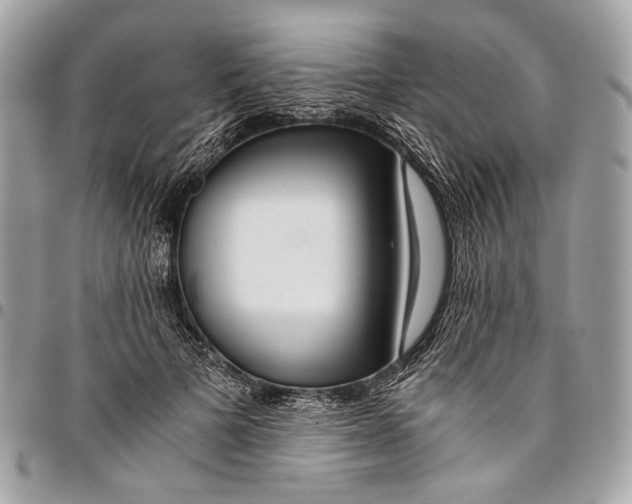 X0000096220697200802081525