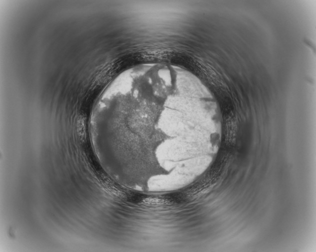 X0000096220699200802081525