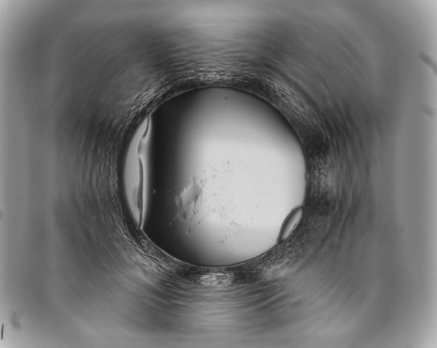 X0000096220700200802081525