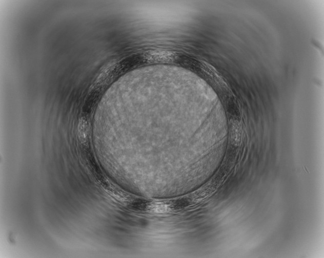 X0000096220701200802081525