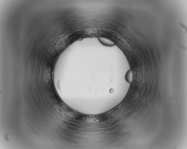 X0000096220702200802081525