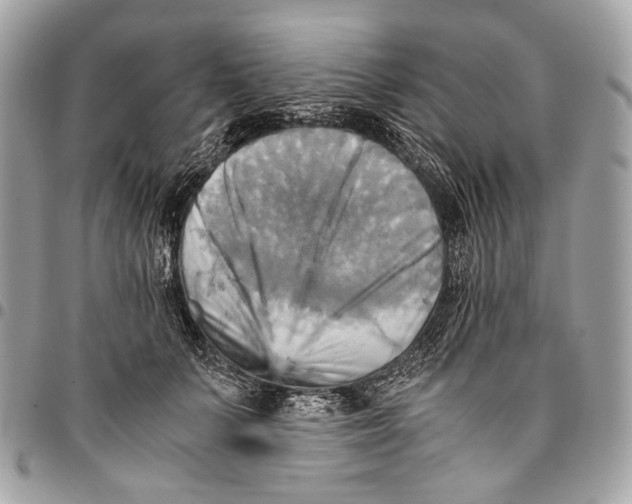 X0000096220703200802081525