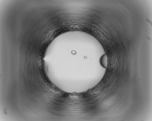 X0000096220706200802081525