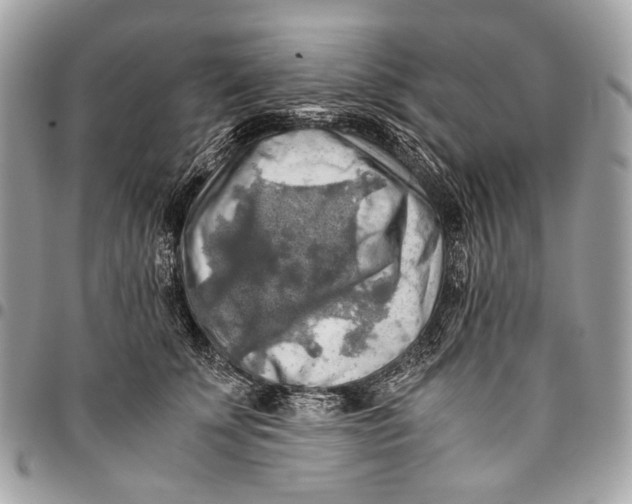 X0000096220707200802081525