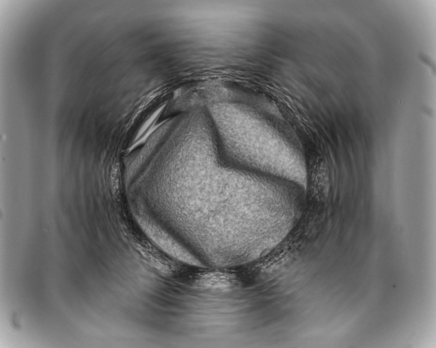 X0000096220708200802081525