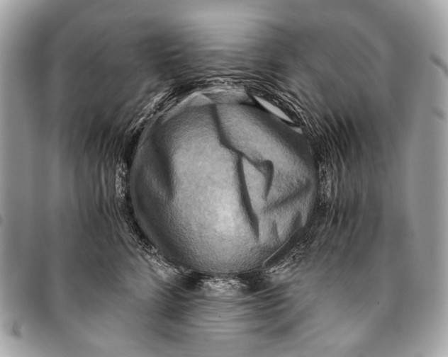 X0000096220712200802081525