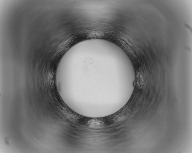 X0000096220714200802081525