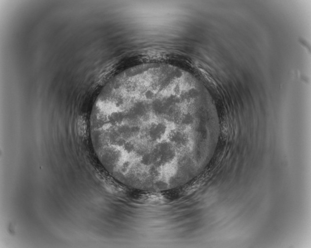 X0000096220715200802081525