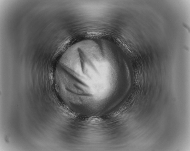 X0000096220716200802081525