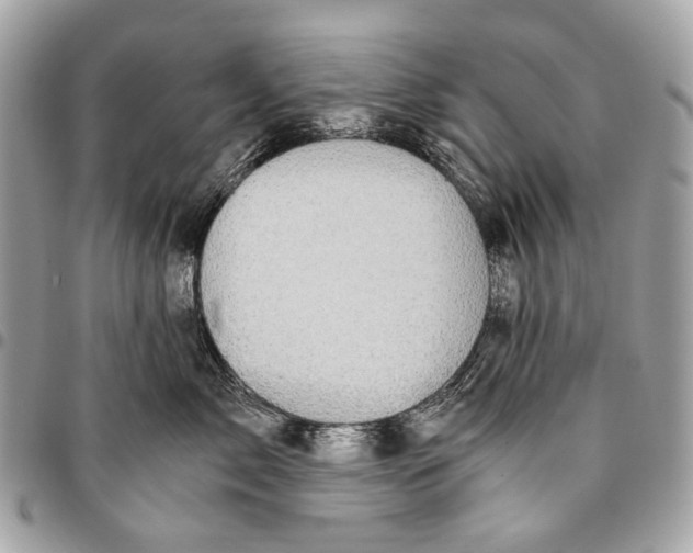 X0000096220717200802081525