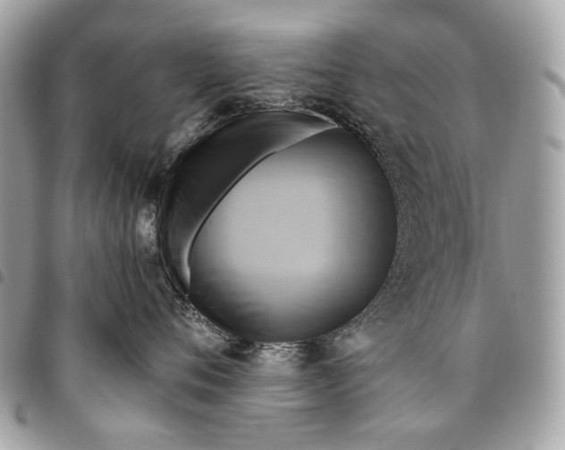 X0000096220720200802081525