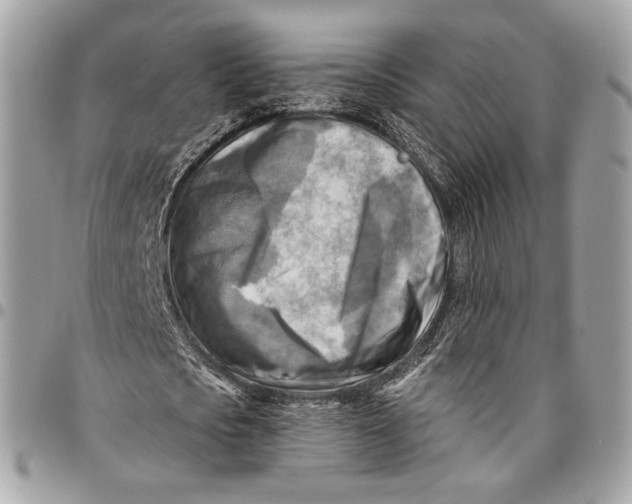 X0000096220721200802081524