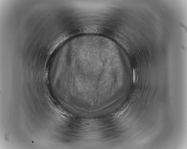 X0000096220723200802081524