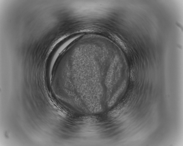 X0000096220724200802081524