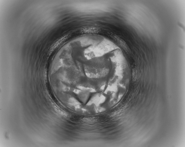 X0000096220725200802081524