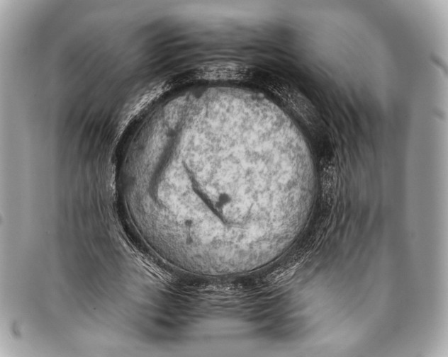 X0000096220727200802081524