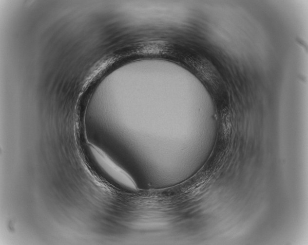 X0000096220728200802081524