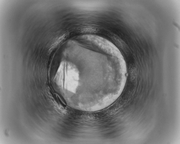 X0000096220729200802081525