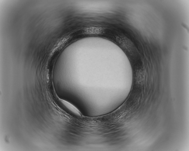 X0000096220731200802081525