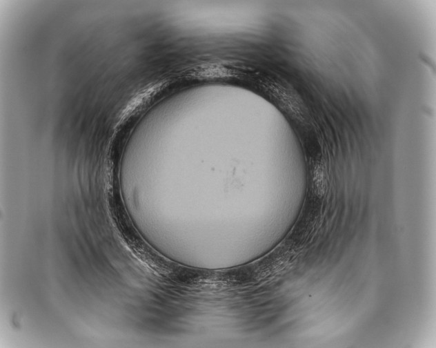 X0000096220732200802081525