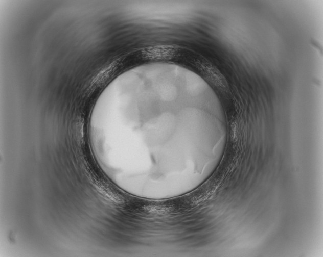 X0000096220733200802081525