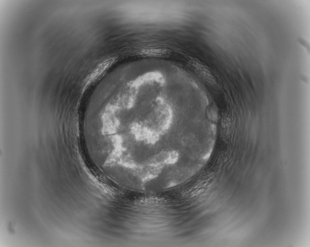 X0000096220734200802081525