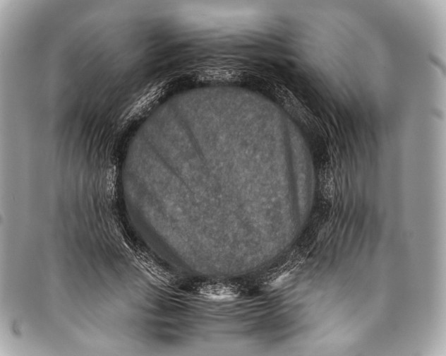 X0000096220735200802081525