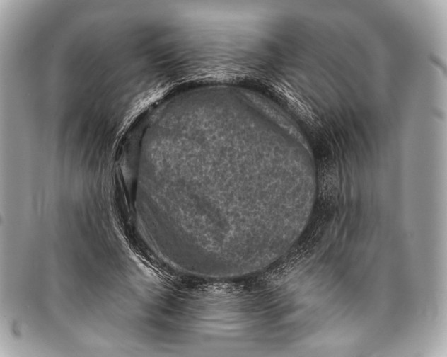 X0000096220736200802081525