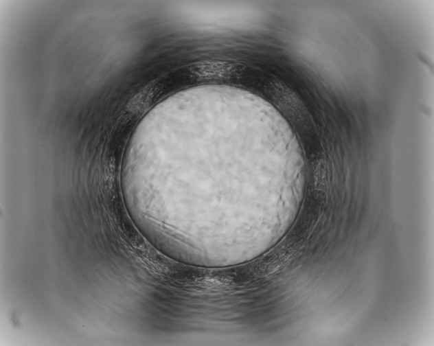 X0000096220737200802081525