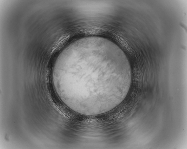 X0000096220738200802081525