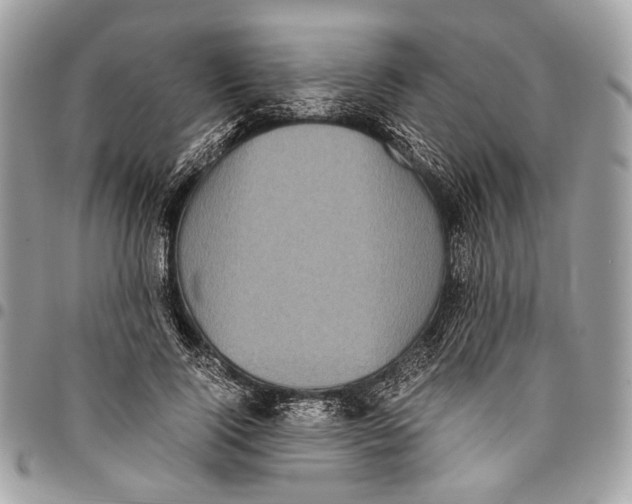 X0000096220740200802081525